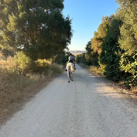 Casa Naranjos